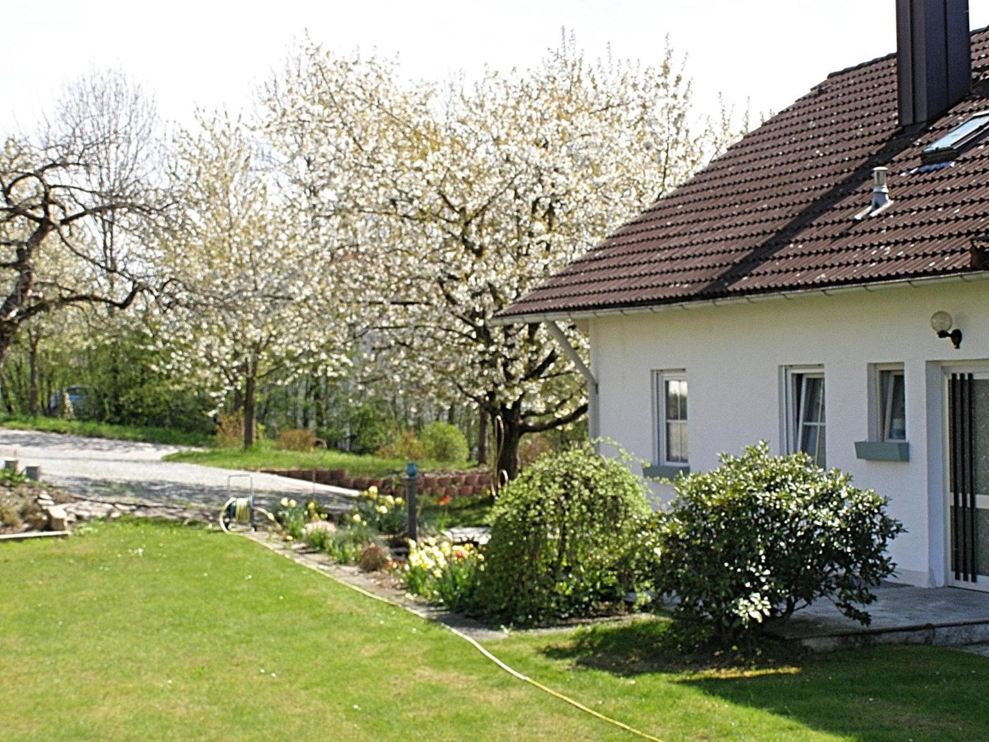 Welcoming Chalet Near Forest In Röhrnbach Dış mekan fotoğraf